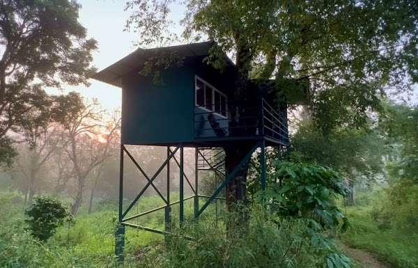 Wayanad Treehouse