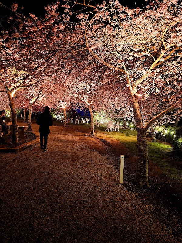 Blossom Valley at Aston Norwood 3