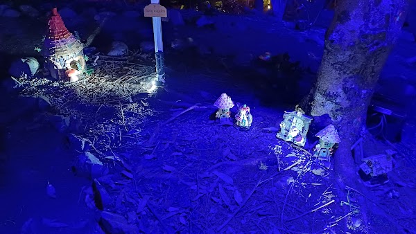 Blossom Valley at Aston Norwood 2