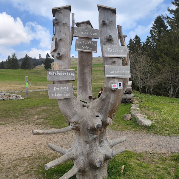 Westweg-Portal „Tor zum Höchsten“ 3