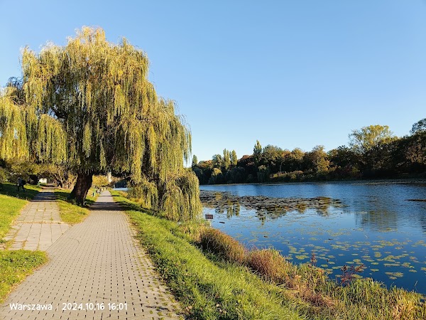 Skaryszewski Park in the name of Ignacy Jan Paderewski 3