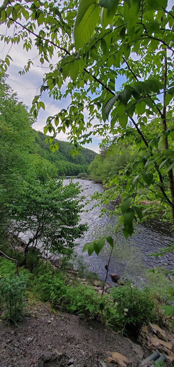 Luke's Falls 3