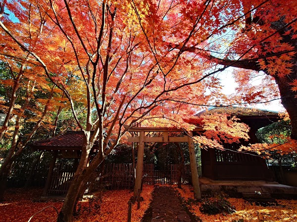 Renge-ji Temple 5