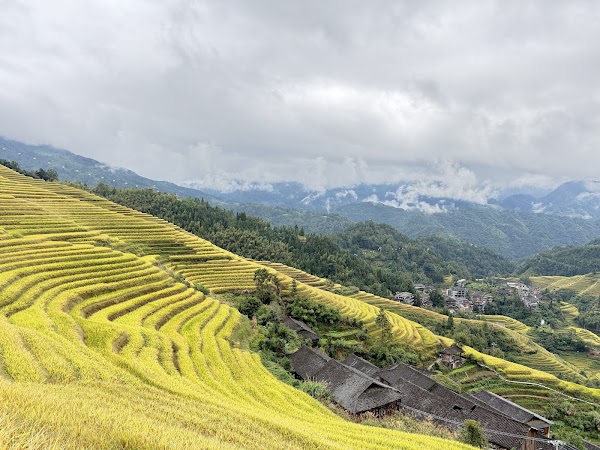 Longji Jinkeng