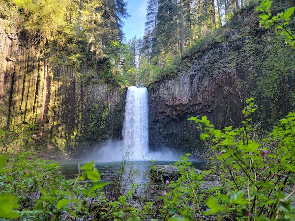 Abiqua Falls Trailhead