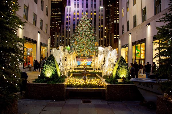 The Channel Gardens 6