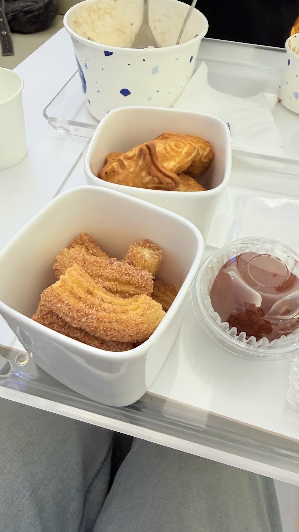 Yogurt World 5
