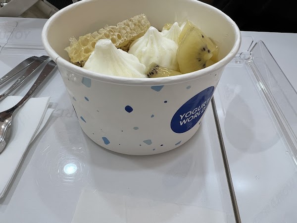Yogurt World 4