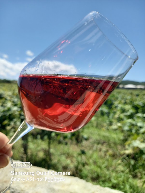 Winery "Wine Trails" in Ikalto, Kakheti