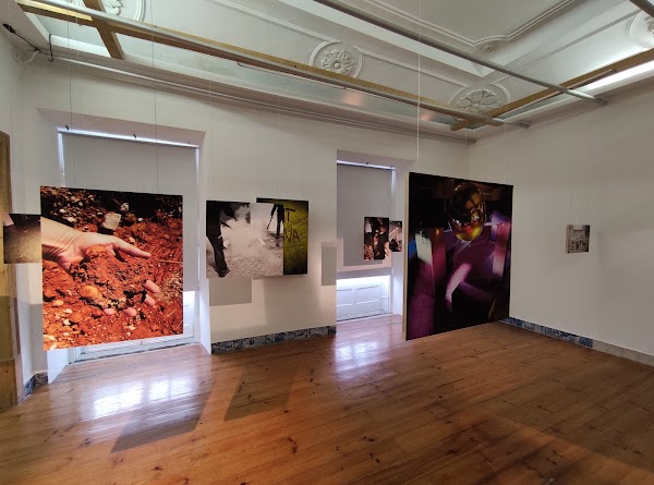 Zé dos Bois gallery 3