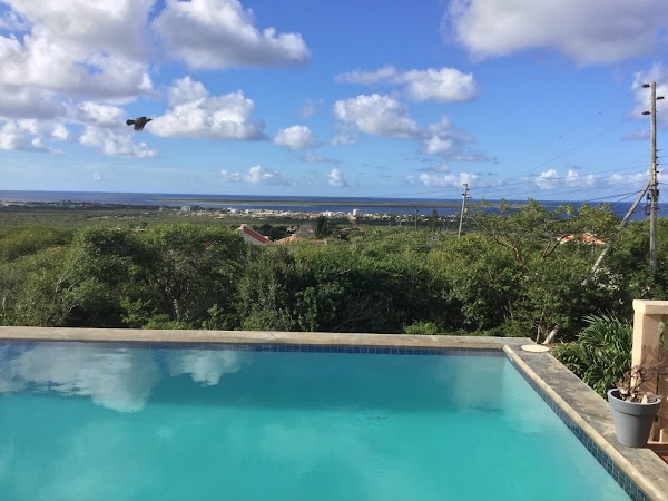 Bonaire 3