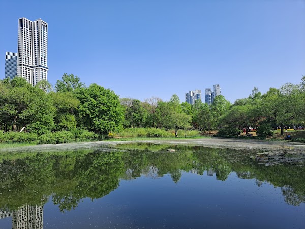 Seoul Forest 5