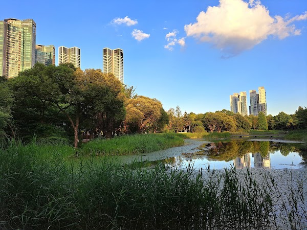 Seoul Forest 4