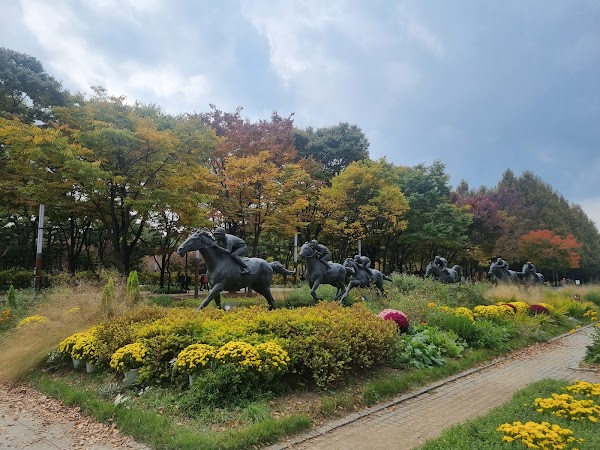 Seoul Forest 3