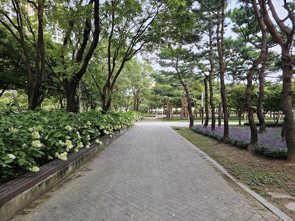 Seoul Forest 2
