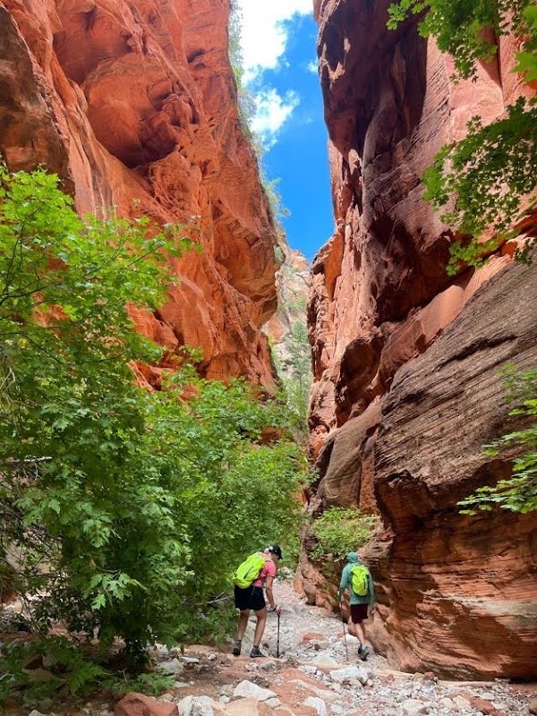Spring Creek Canyon Trailhead