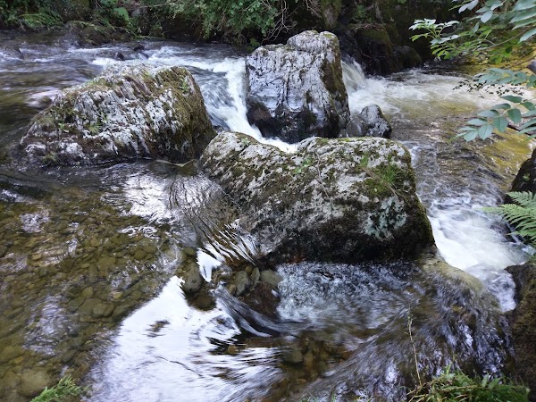Hirnant