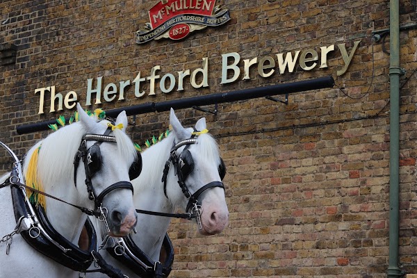 McMullen's Brewery