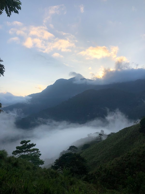Ciudad Perdida 2