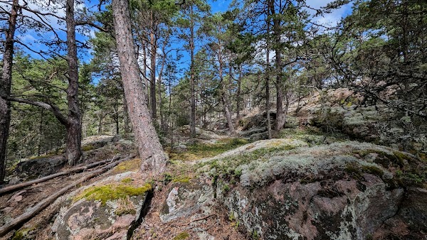 Stendörren nature reserve 2