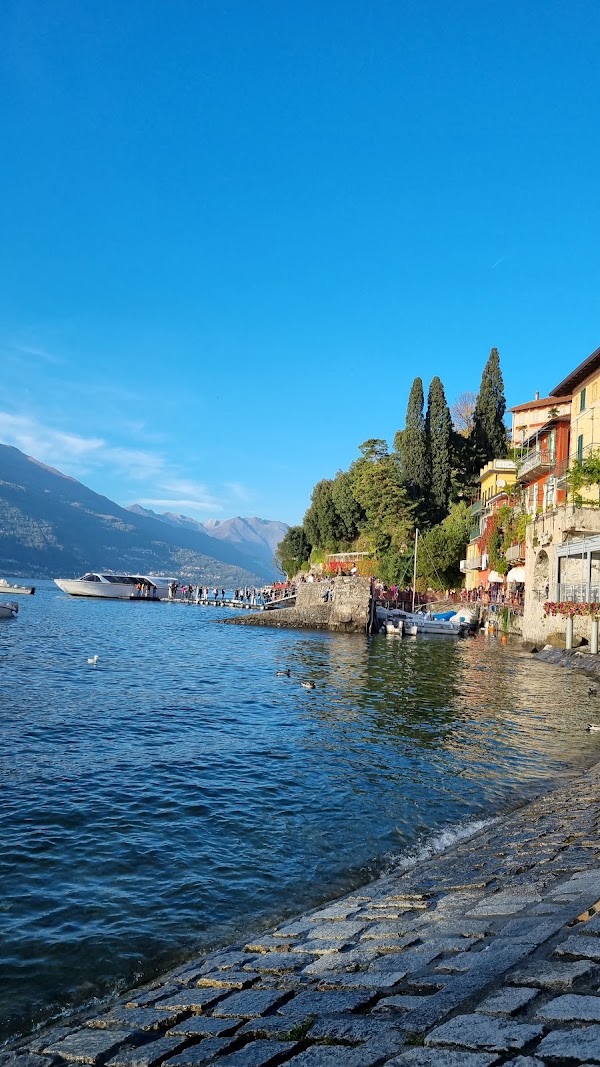 Branch of Lecco 1