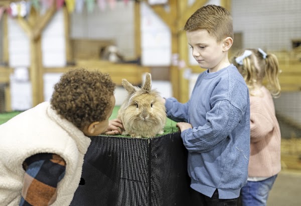 Mead Open Farm