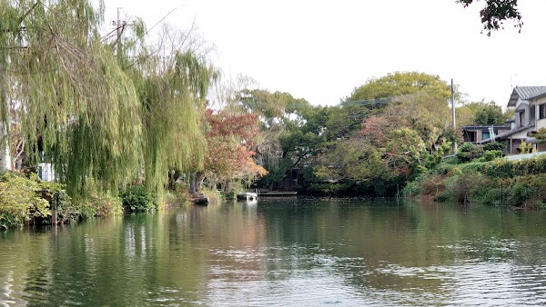 Yanagawa 5