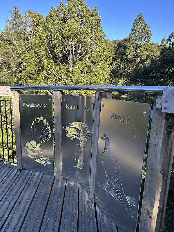Kauri Glen walkway 2