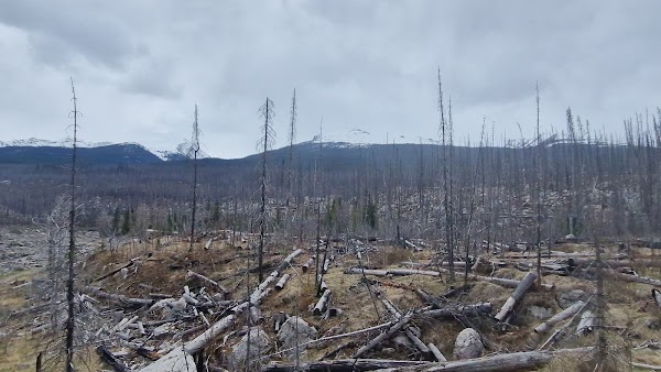 Medicine Lake