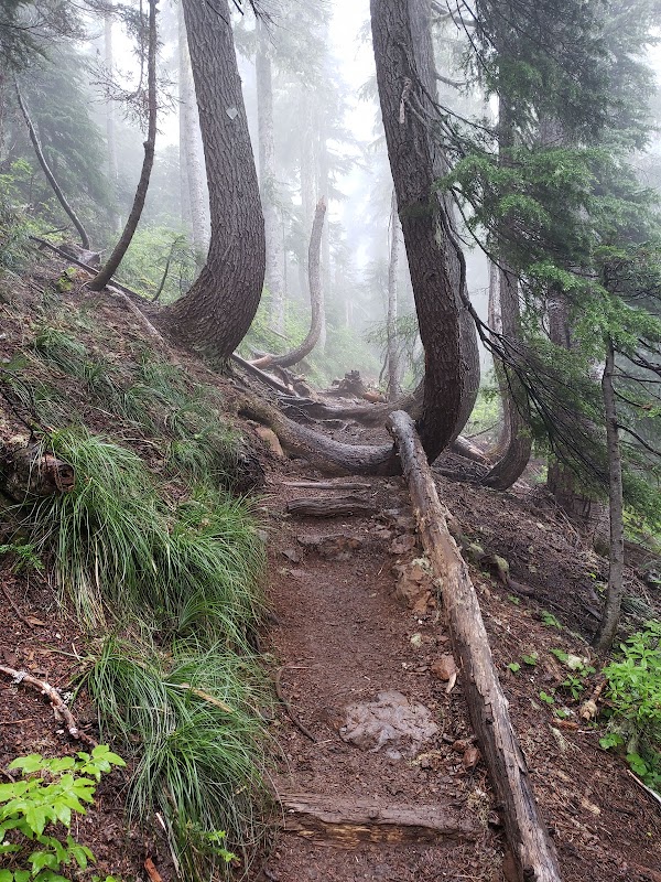 Mount Ellinor 5