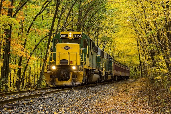 Lehigh Gorge Scenic Railway: Trademark of the Reading & Northern Railroad 1