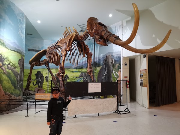 Khorat Fossil Museum 3