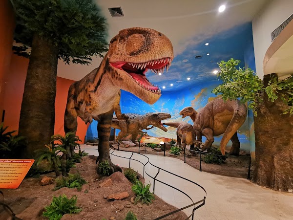 Khorat Fossil Museum 2