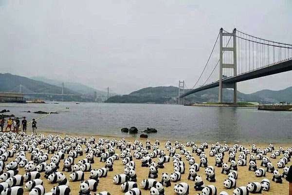 Tsing Ma Bridge 3