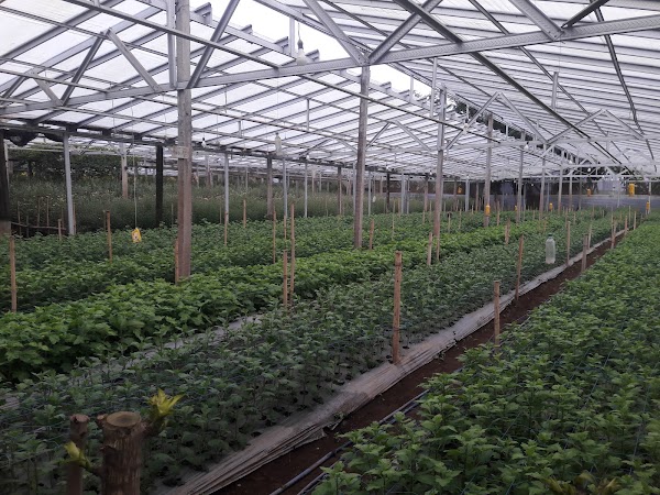 Agro Pudak Lestari Farm
