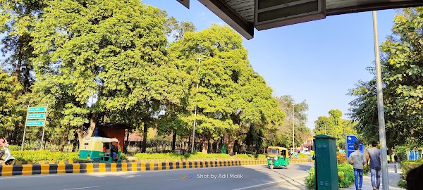 Sarojini Nagar Market 1