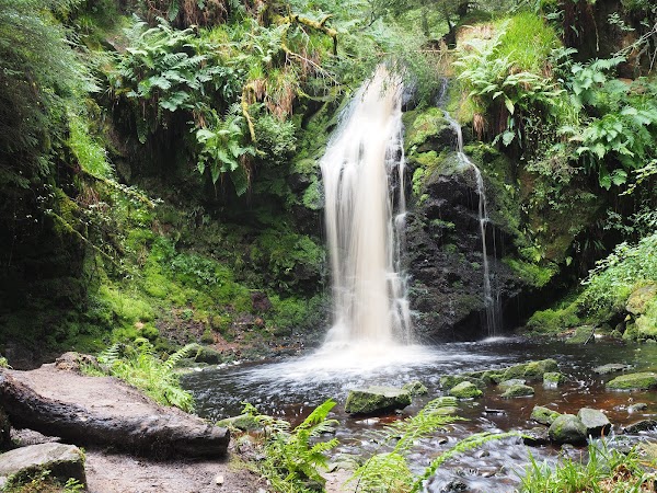 Hindhope Linn 1