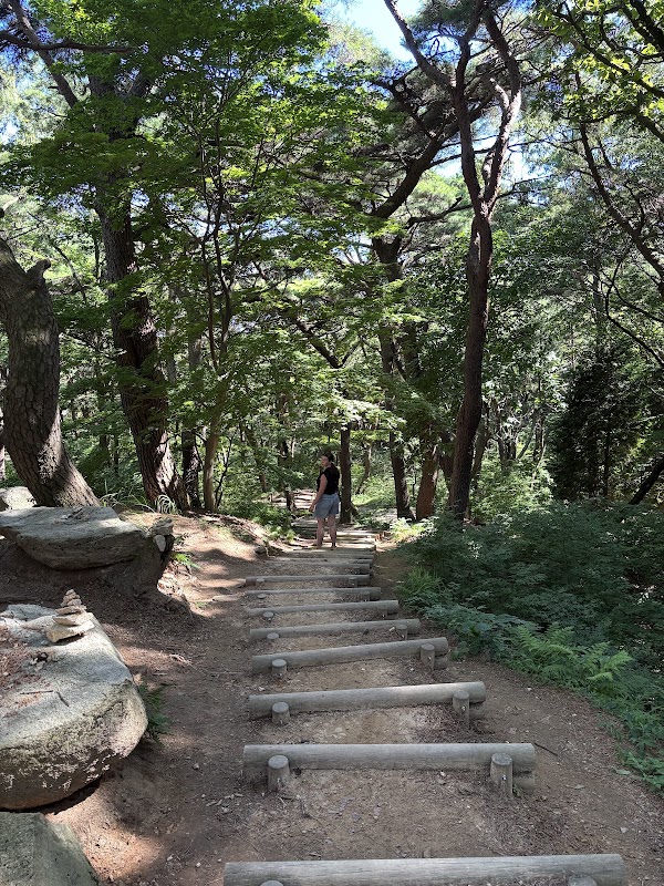 금강공원케이블카 3