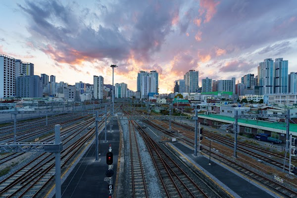 Busan 9