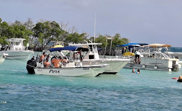 La Parguera 5