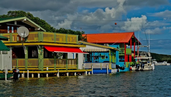 La Parguera 3