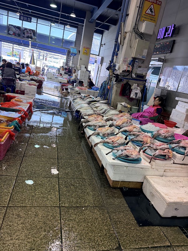 Pohang Jukdo Market 5
