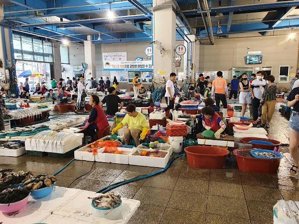 Pohang Jukdo Market 3