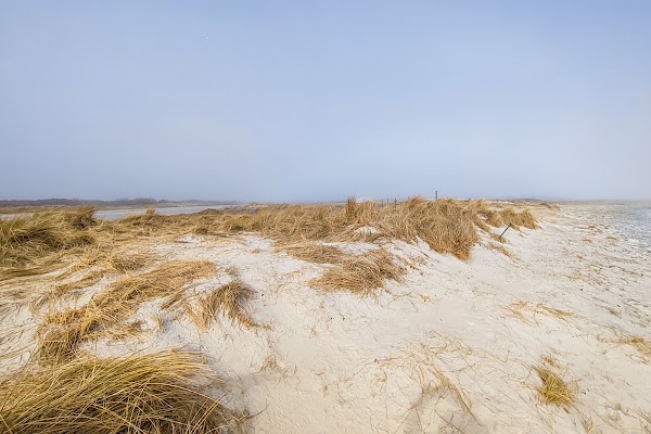 Düne 1