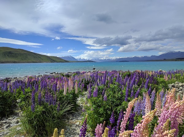 Nz 88