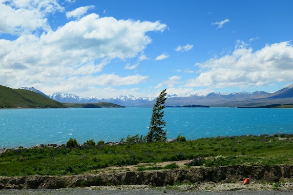 Lake Tekapo Scenic 5