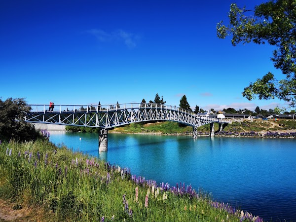 Lake Tekapo Scenic 3