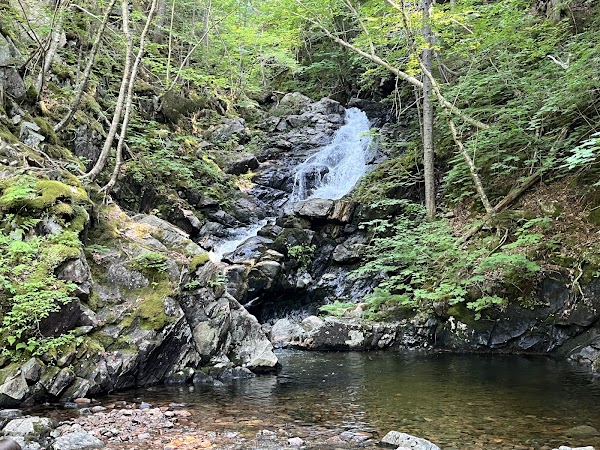 MacIntosh Brook Trailhead