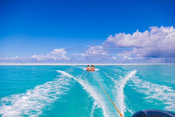 Platinum Cruising by Te Moana 1
