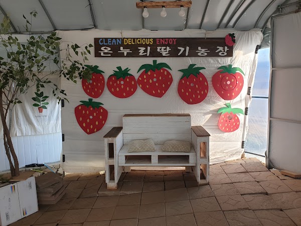 OnNuRi strawberry (온누리 딸기농장, 논산) 2